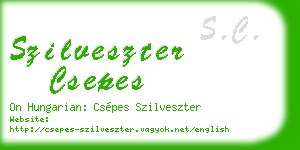 szilveszter csepes business card