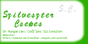 szilveszter csepes business card